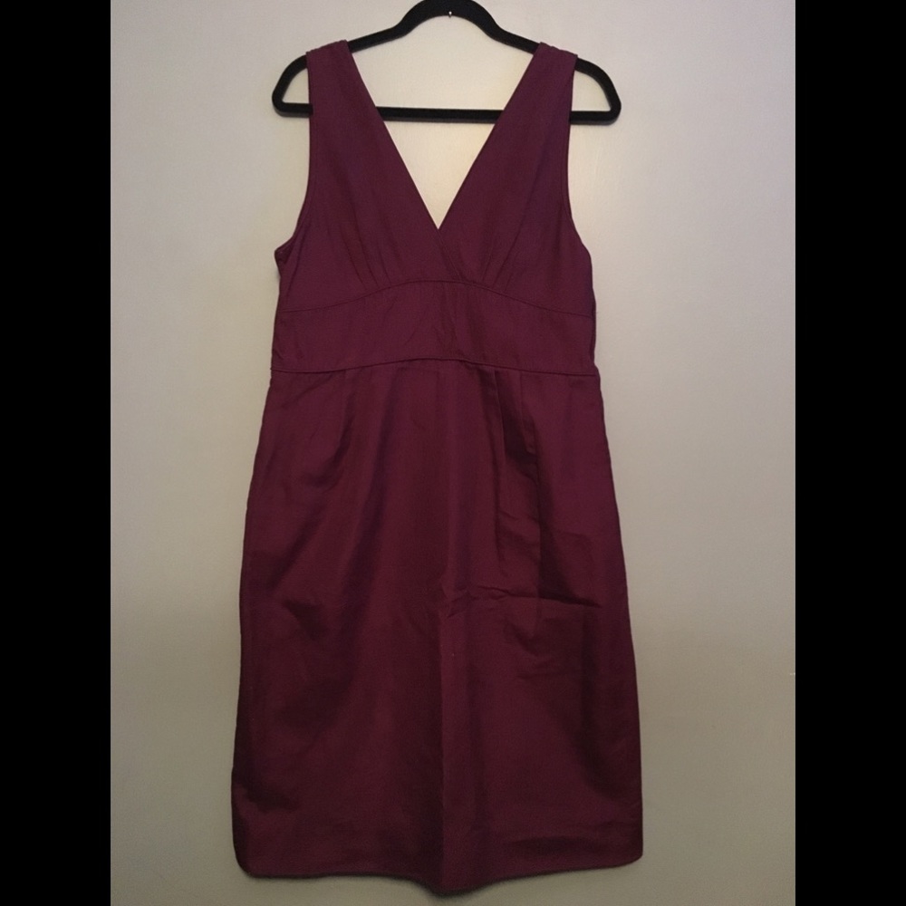 Plum, V-Neck, J. Crew Dress